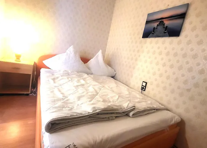 公寓 Feenwelt Hahnenklee Familienfreundlich 戈斯拉尔